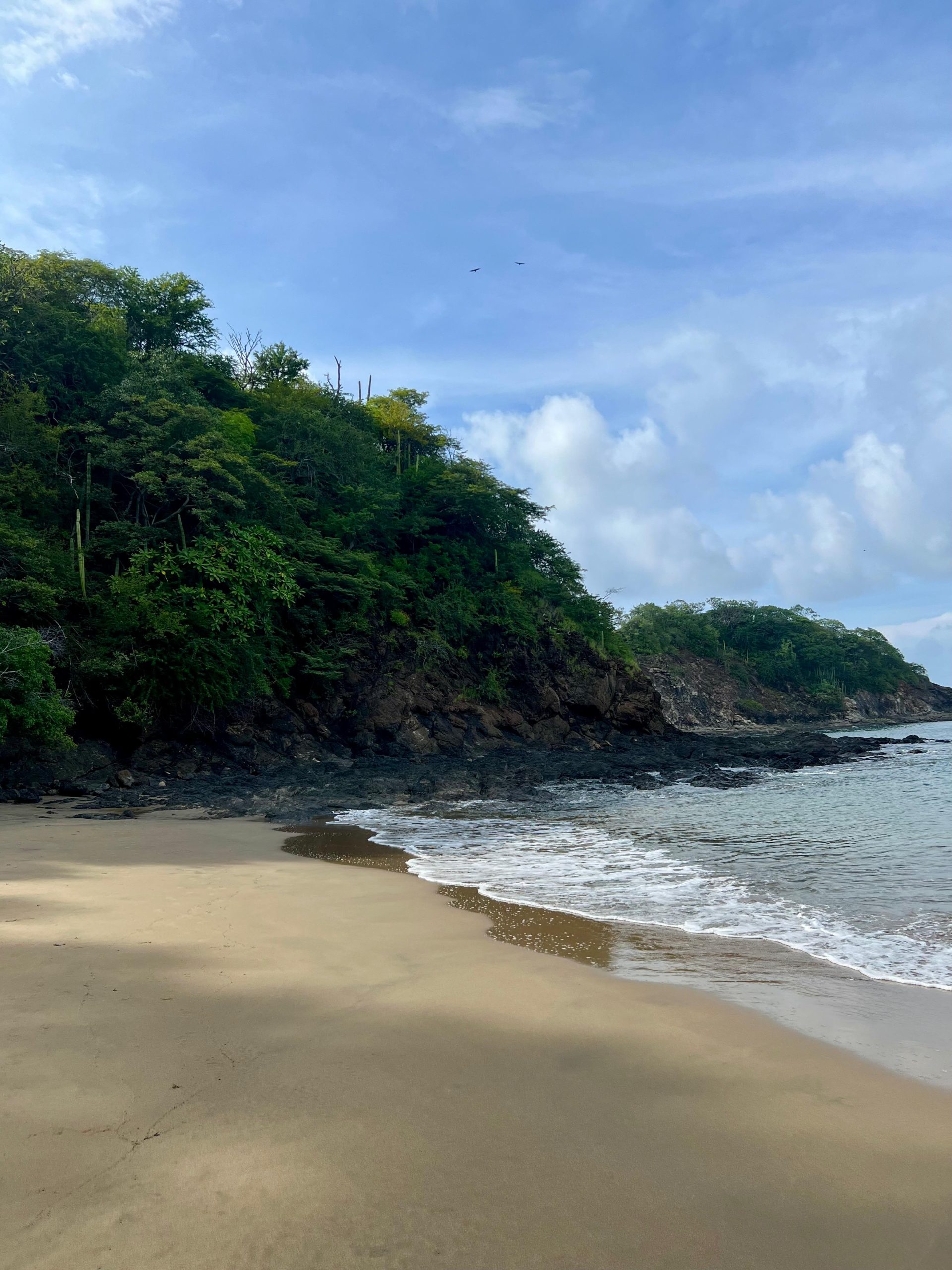 WhatsApp Image 2025-10-28 at 10.59.33 AM (3)