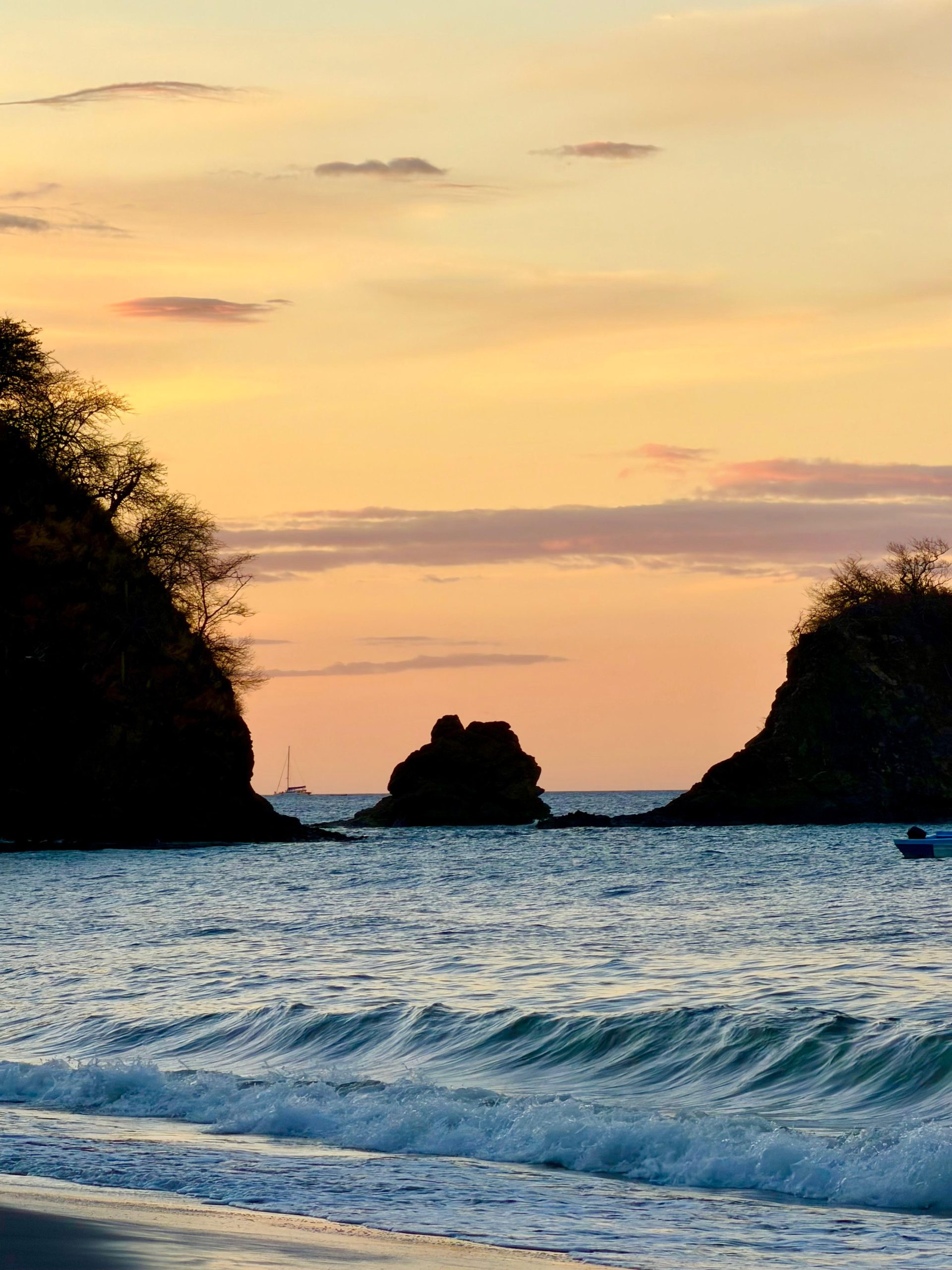 WhatsApp Image 2026-01-28 at 10.55.35 AM