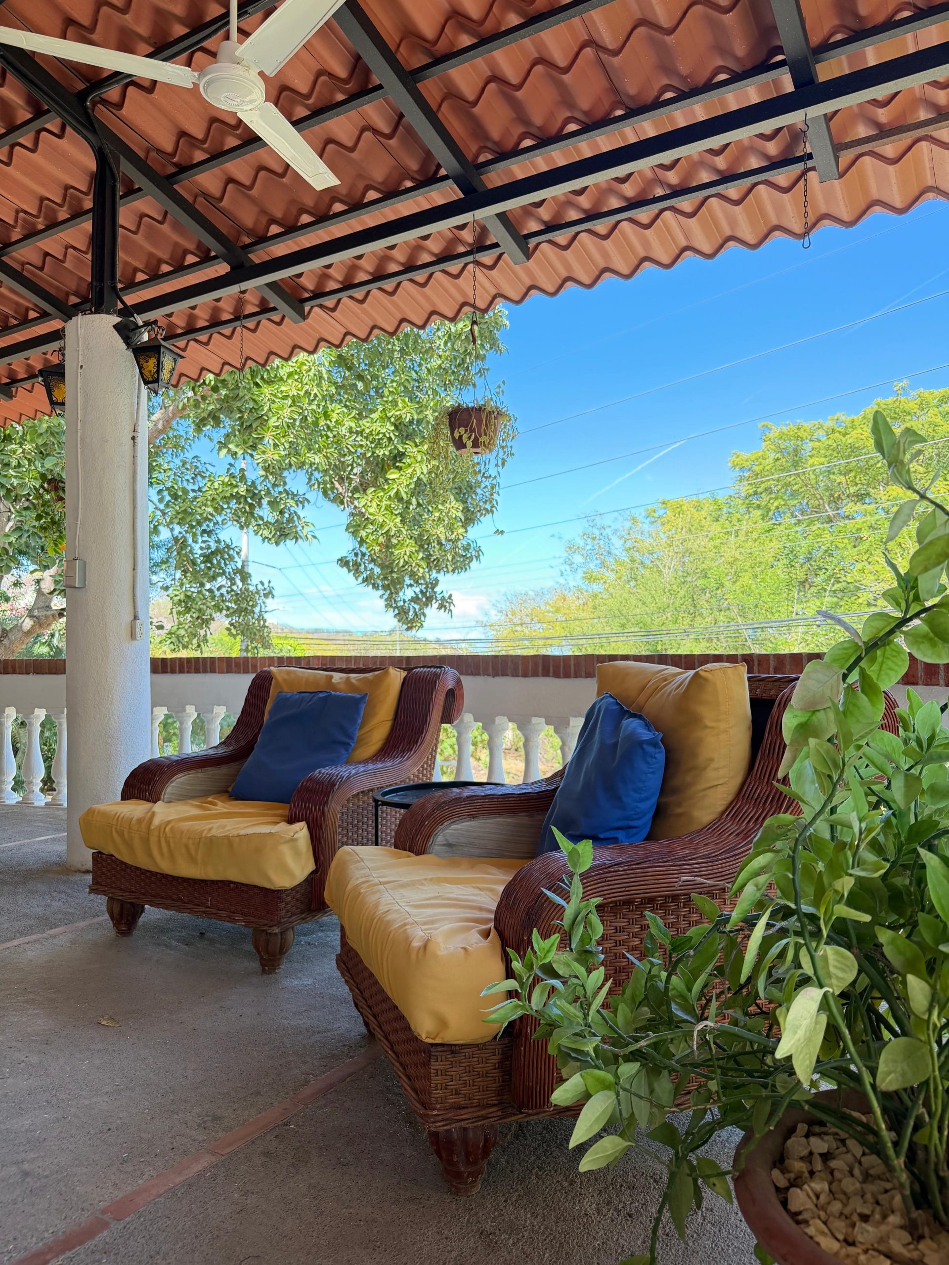 WhatsApp Image 2026-01-28 at 11.29.50 AM